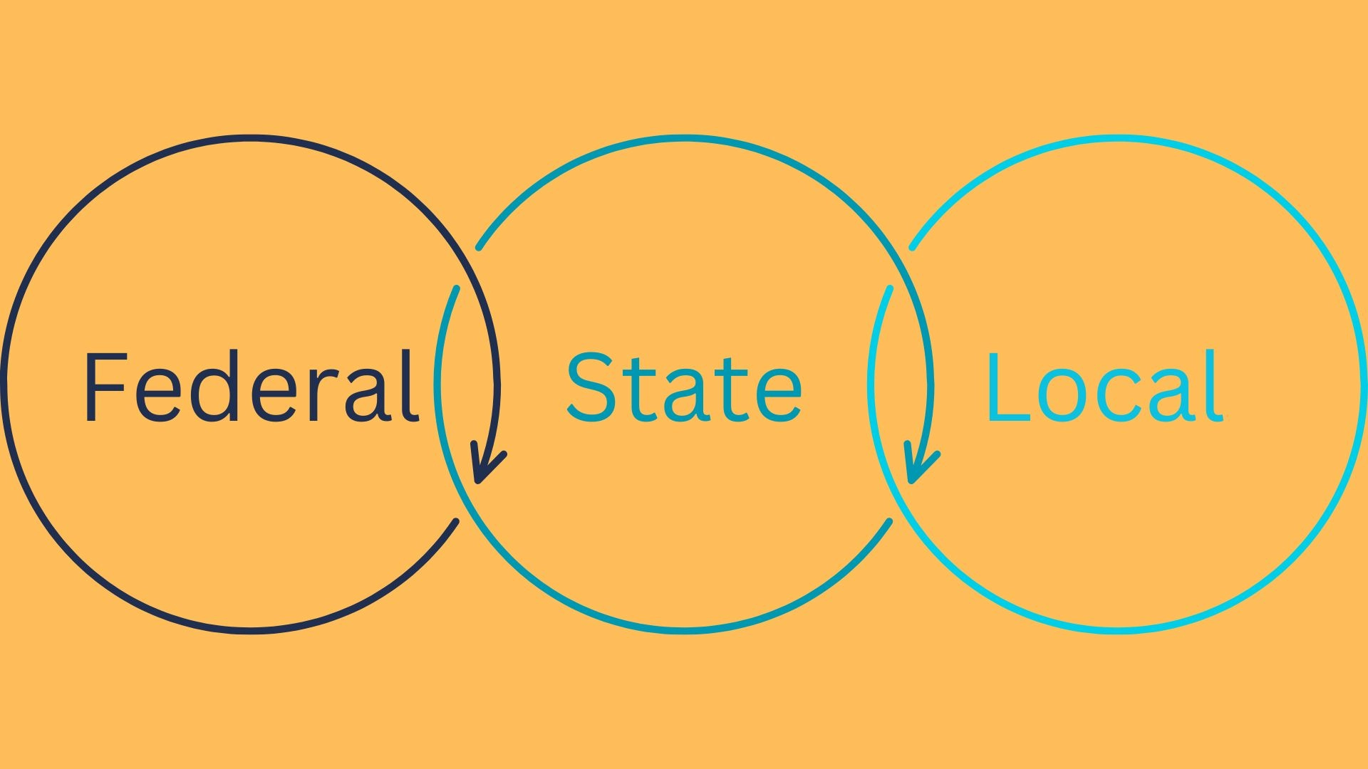 Federal State and Local government