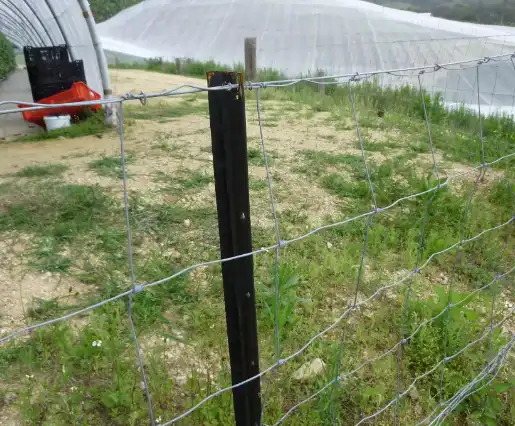 Rusty U-post with wire fencing in a field