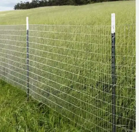 T-post with wire fence in a grassy field